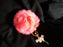 Ballerina Keyring with Pouf - hot pink