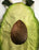 Avocado Costume - Gently Used