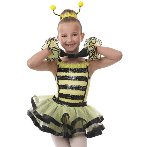 LAYLAS - Child's XSmall Queen Bee Costume - NEW**