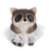 Ballerina Buddies Raccoon