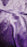 Mondor - Child's Born To Skate Icy Purple Skating Dress - 6X-7