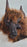 Ware Wolf Mask - Gently Used **